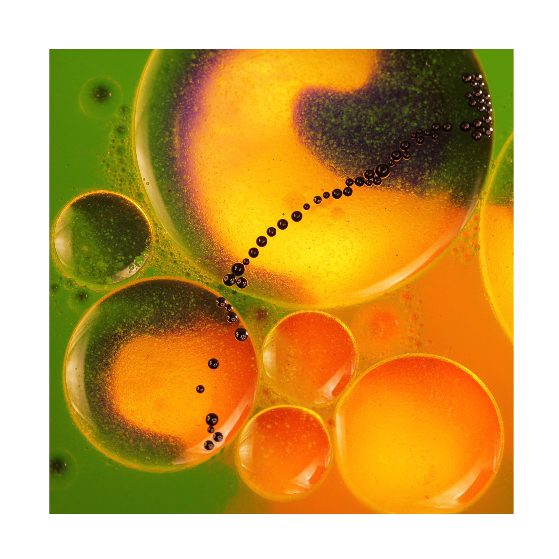 Trademark Fine Art Ileana Bosogea-Tudor Spring Dream Canvas Wall Art