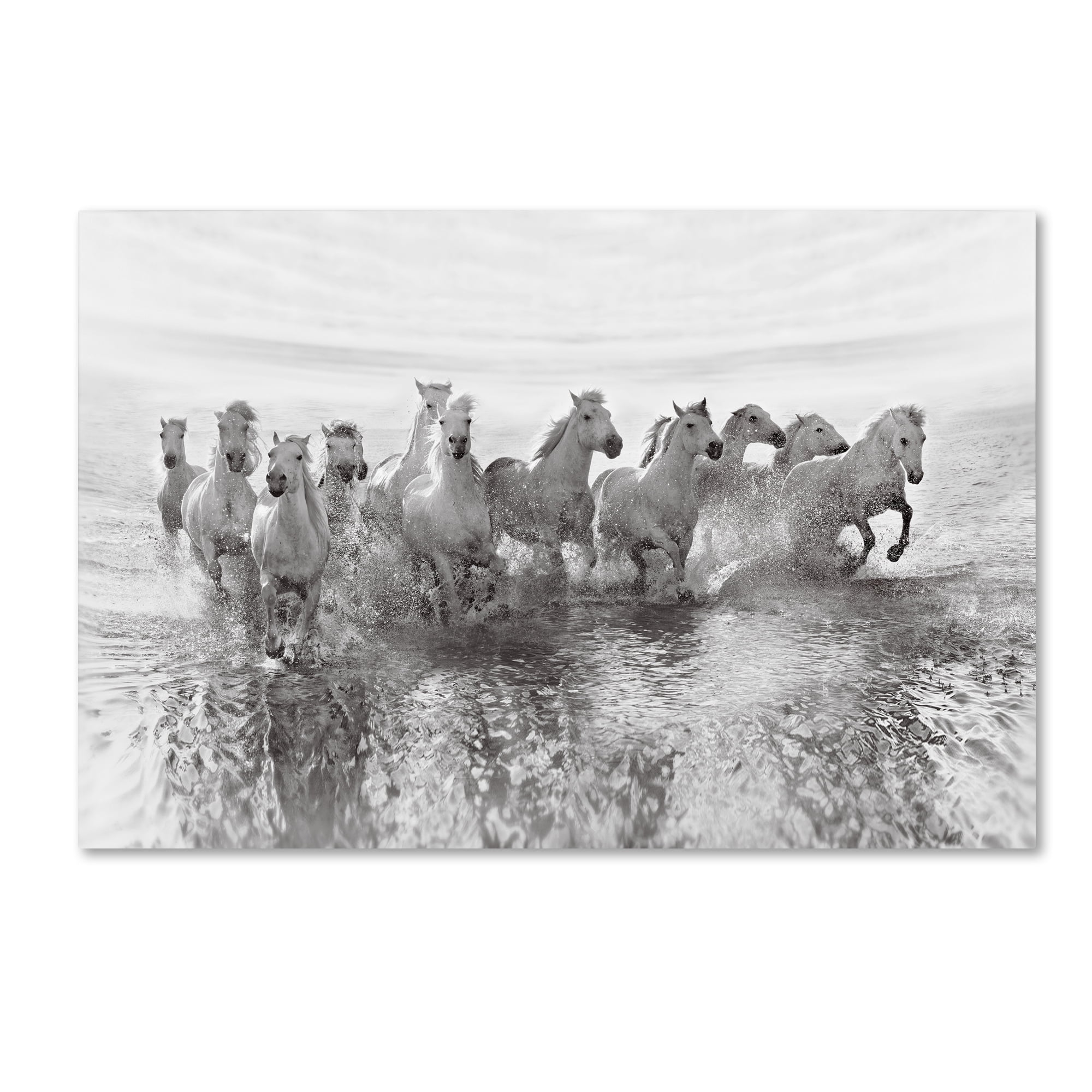 Trademark Fine Art 'Illusion Of Power' Canvas Art by Roman Golubenko