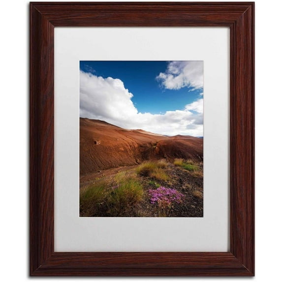 Trademark Fine Art 'Illusion of Choice' Canvas Art by Philippe Sainte-Laudy, White Matte, Wood Frame
