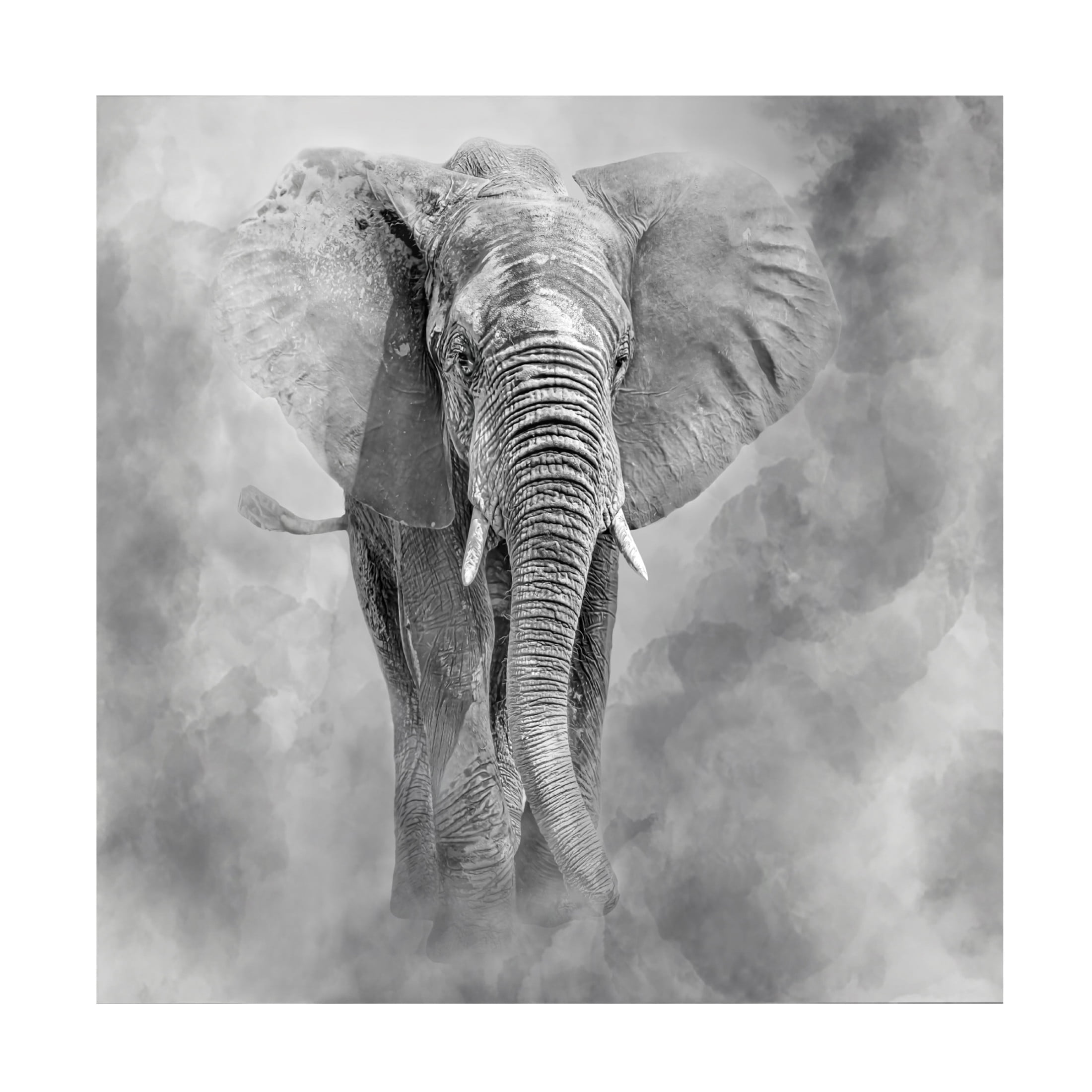 Trademark Fine Art Ilona Rosenkrancova Giant Canvas Wall Art