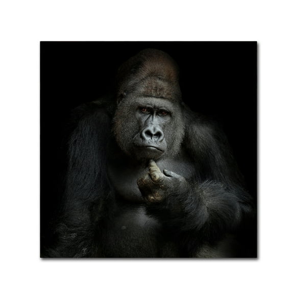 Trademark Fine Art 'Imho' Canvas Art by Antje Wenner-Braun