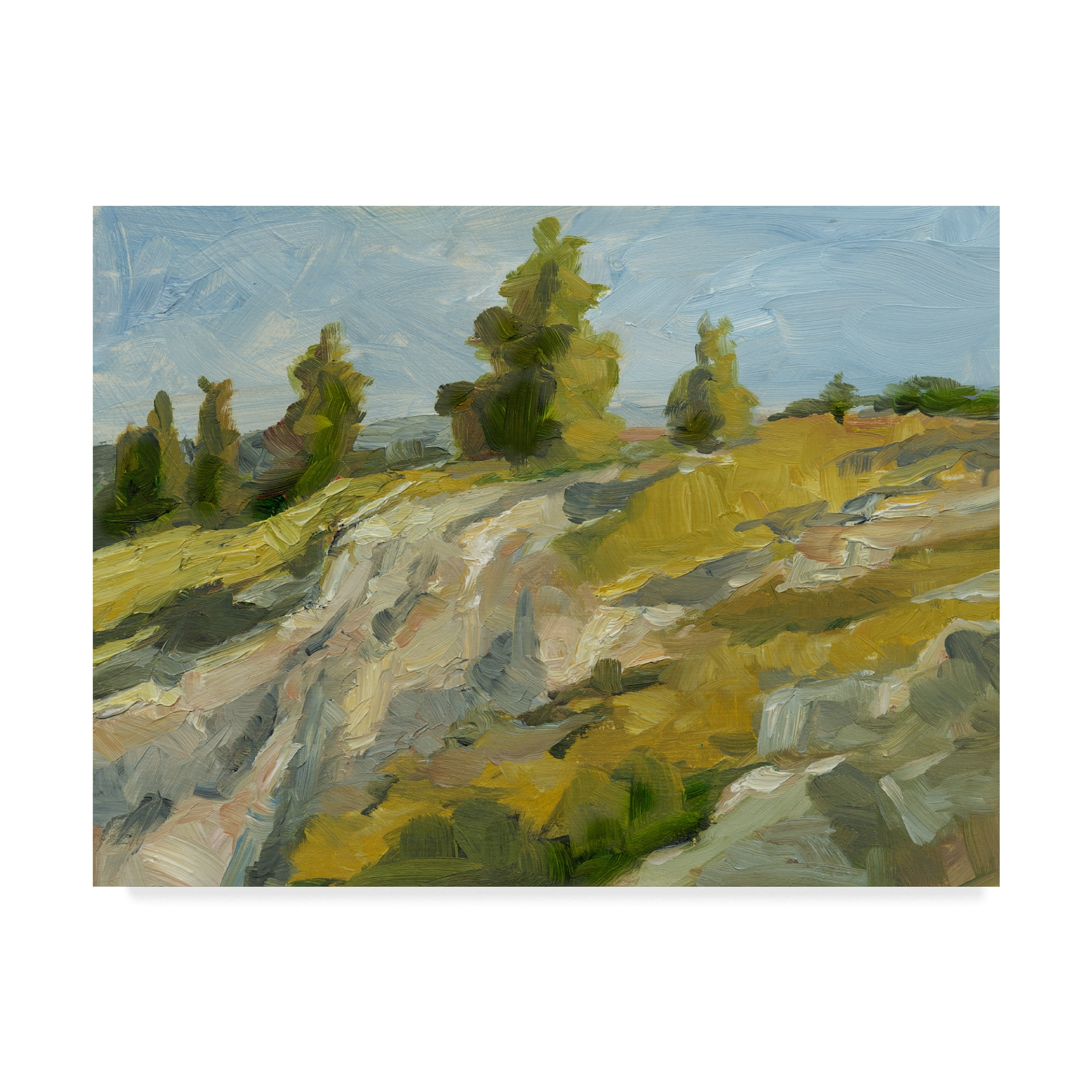 Trademark Fine Art 'Impasto Mountainside II' Canvas Art by Ethan Harper