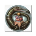 thumbnail image 1 of Trademark Fine Art 'Impervious Heart' Canvas Art by Jason Limon, 1 of 3