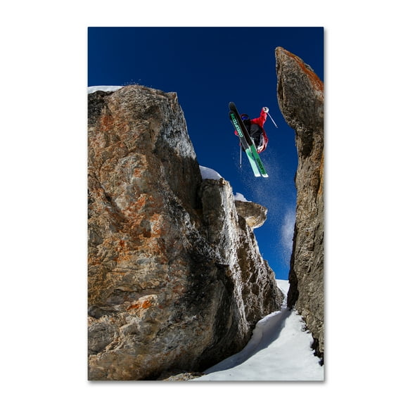 Trademark Fine Art 'In Between The Rocks' Canvas Art by Tristan Shu