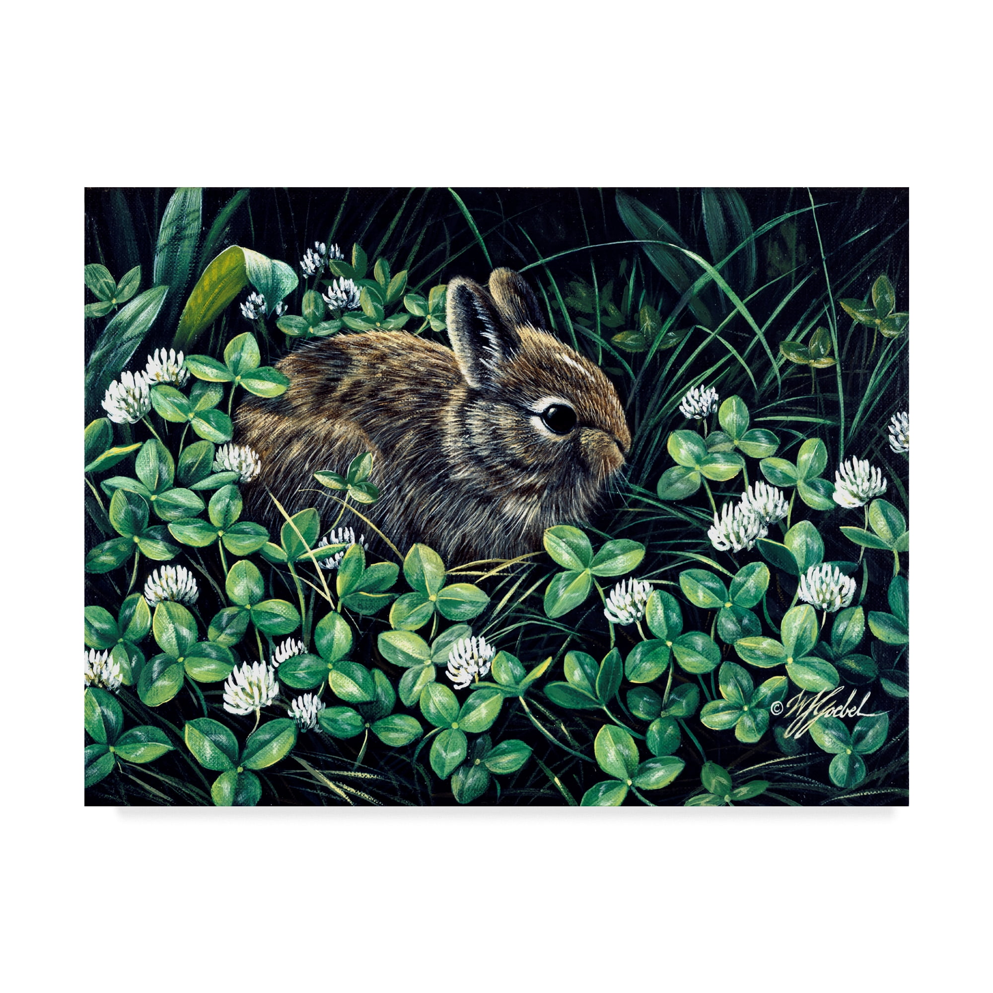 Trademark Fine Art 'In Clover' Canvas Art by Wilhelm Goebel