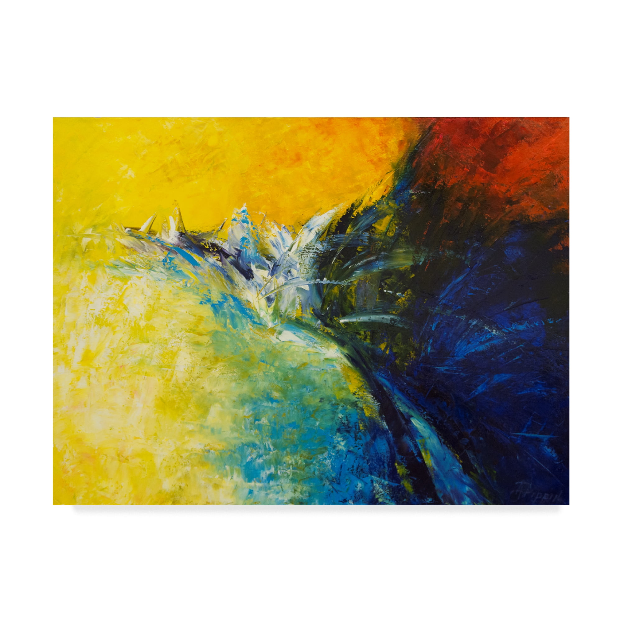 Trademark Fine Art 'In Flight' Canvas Art by Aleta Pippin