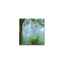 Trademark Fine Art "In Her Window" Canvas Art by Beata Czyzowska