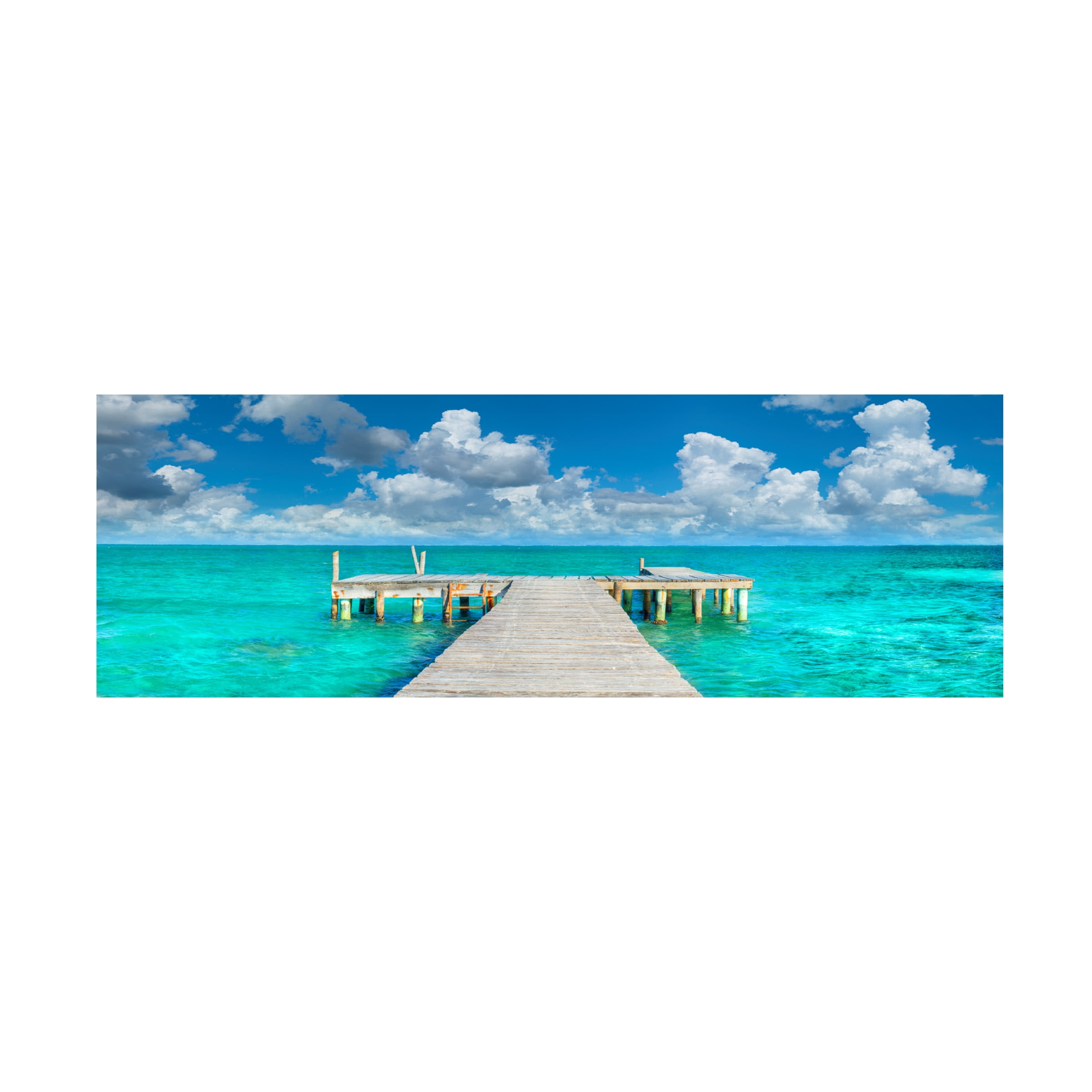 Trademark Fine Art 'In No Hurry' Canvas Art by Doug Cavanah
