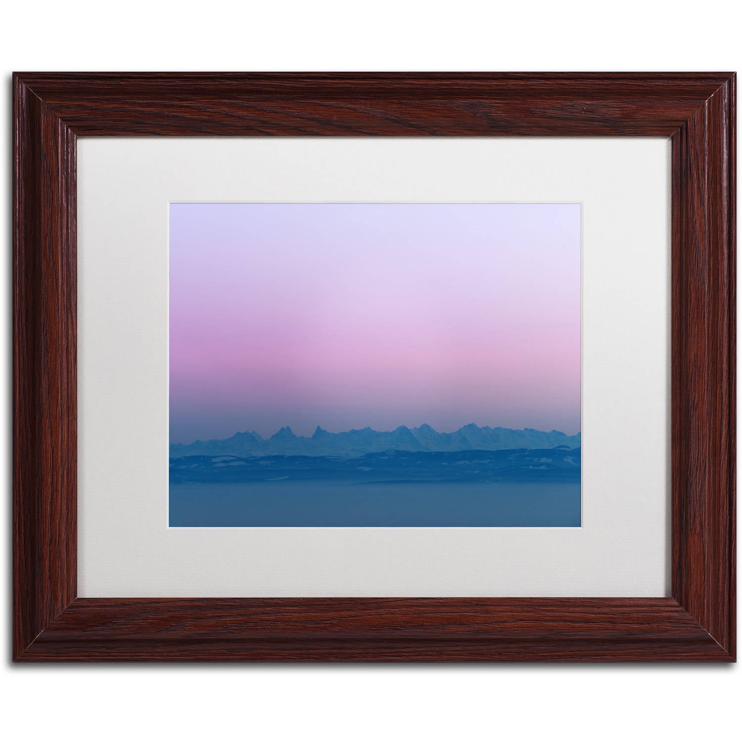 Trademark Fine Art "In Phase" Canvas Art by Philippe Sainte-Laudy, White Matte, Wood Frame