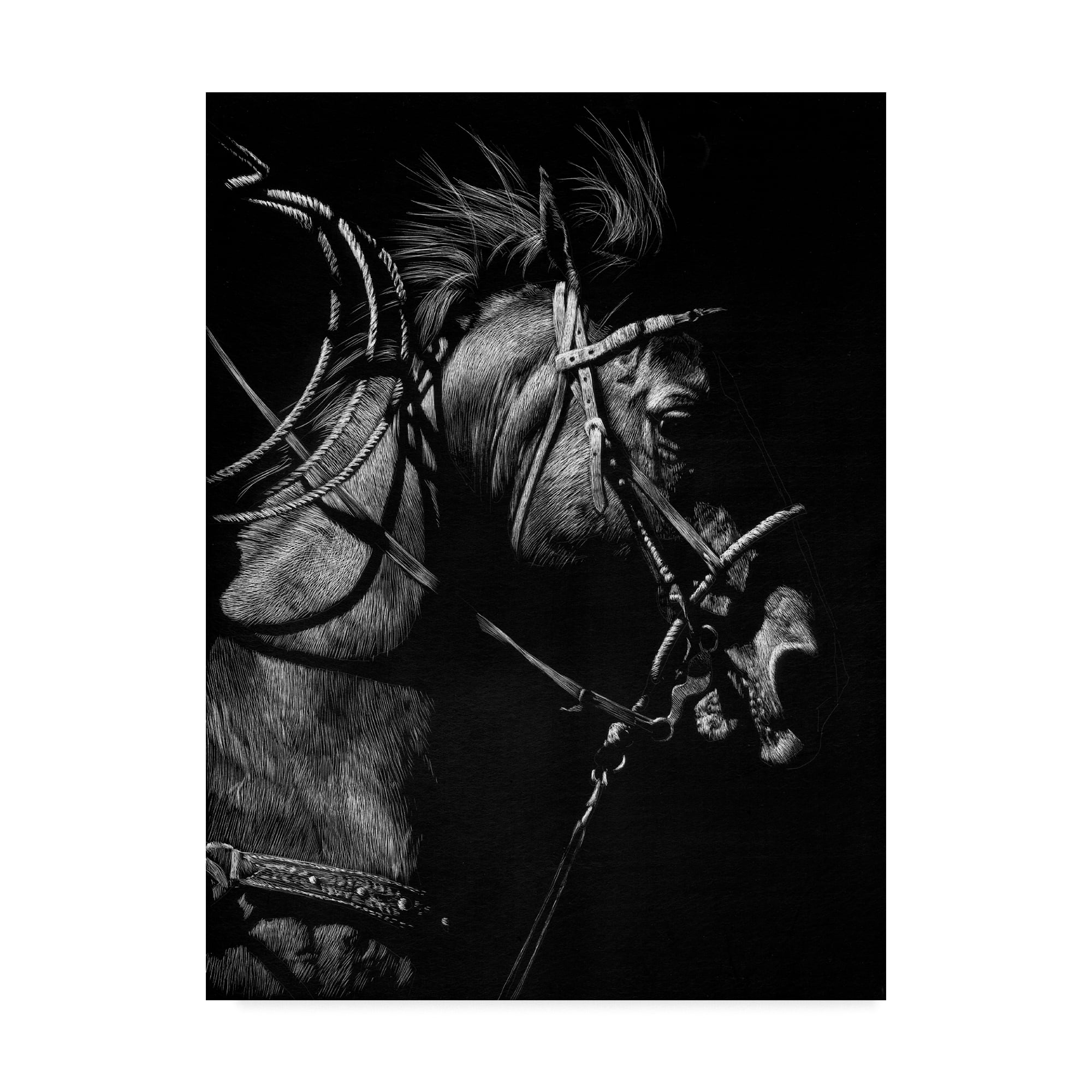 Trademark Fine Art 'In Pursuit' Canvas Art by Julie T. Chapman