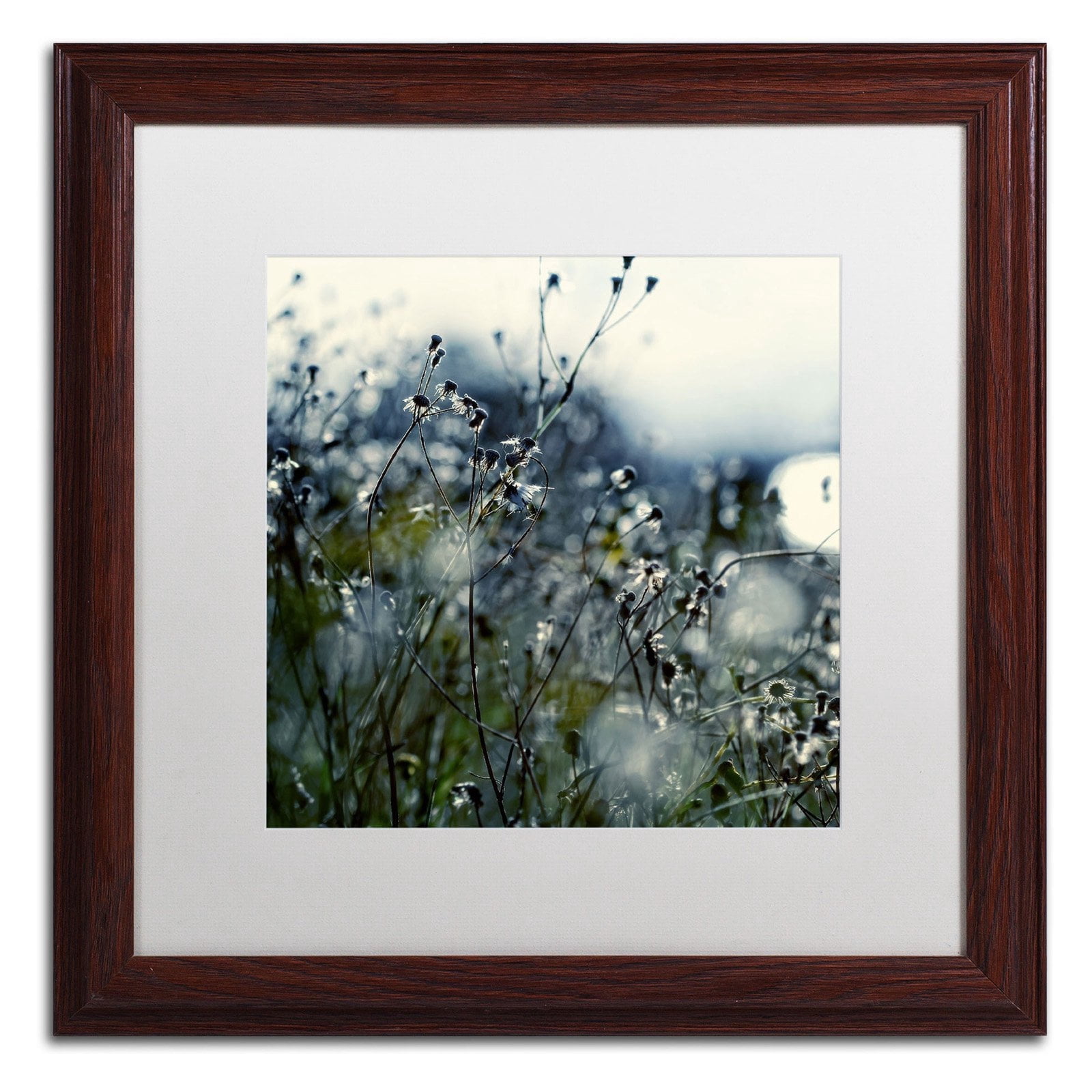 Trademark Fine Art "In Silence" Canvas Art by Beata Czyzowska Young, White Matte, Wood Frame