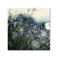 thumbnail image 1 of Trademark Fine Art "In Silence" Canvas Art by Beata Czyzowska Young, 1 of 4