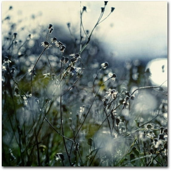 Trademark Fine Art Beata Czyzowska Young In Silence Canvas Wall Art - 14x14