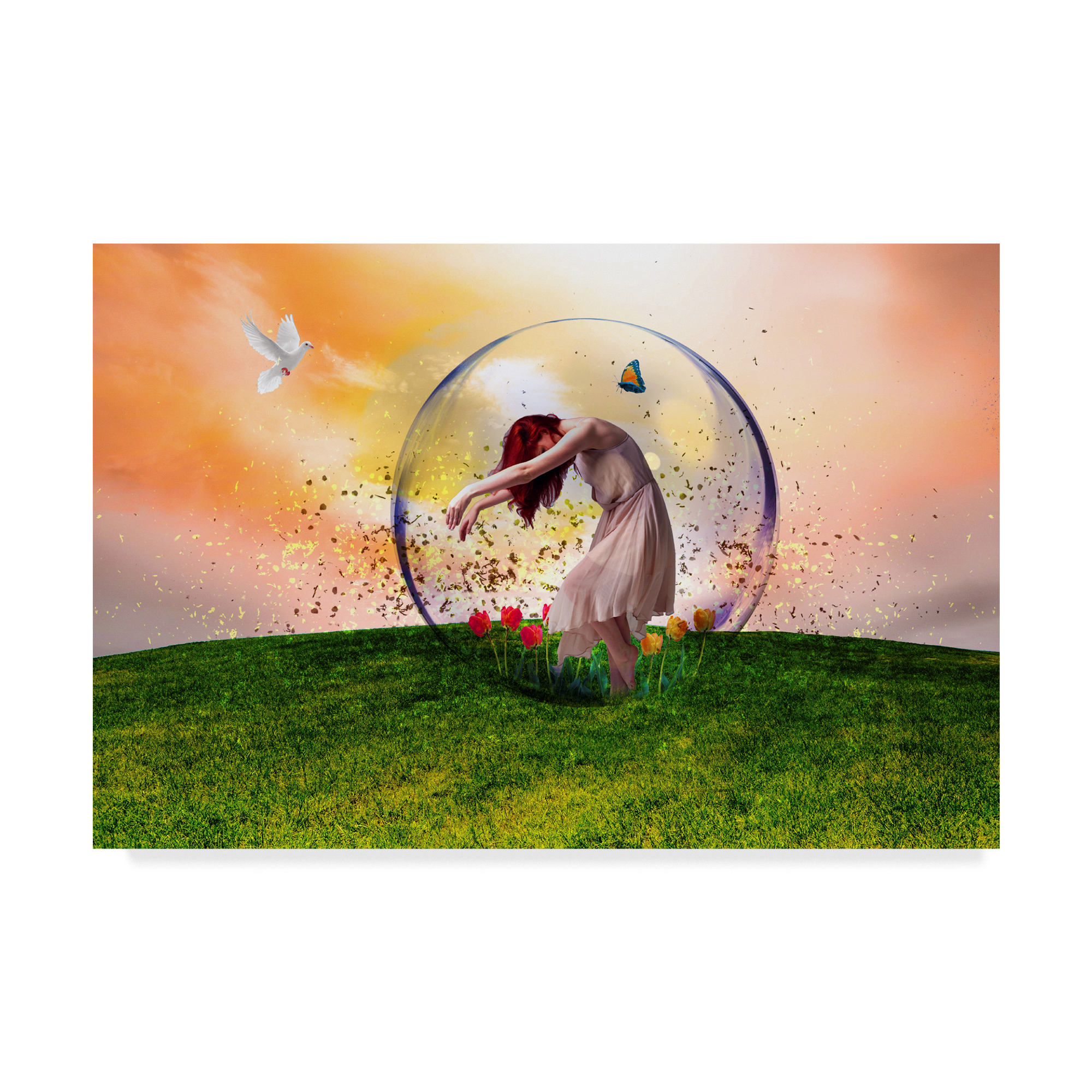 Trademark Fine Art 'In The Bubble' Canvas Art by Ata Alishahi