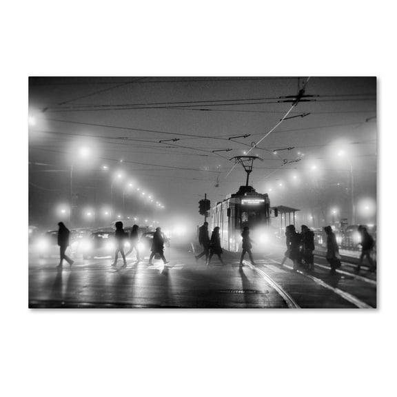 Trademark Fine Art 'In The Mist' Canvas Art by Vrabiuta Albert Adrian