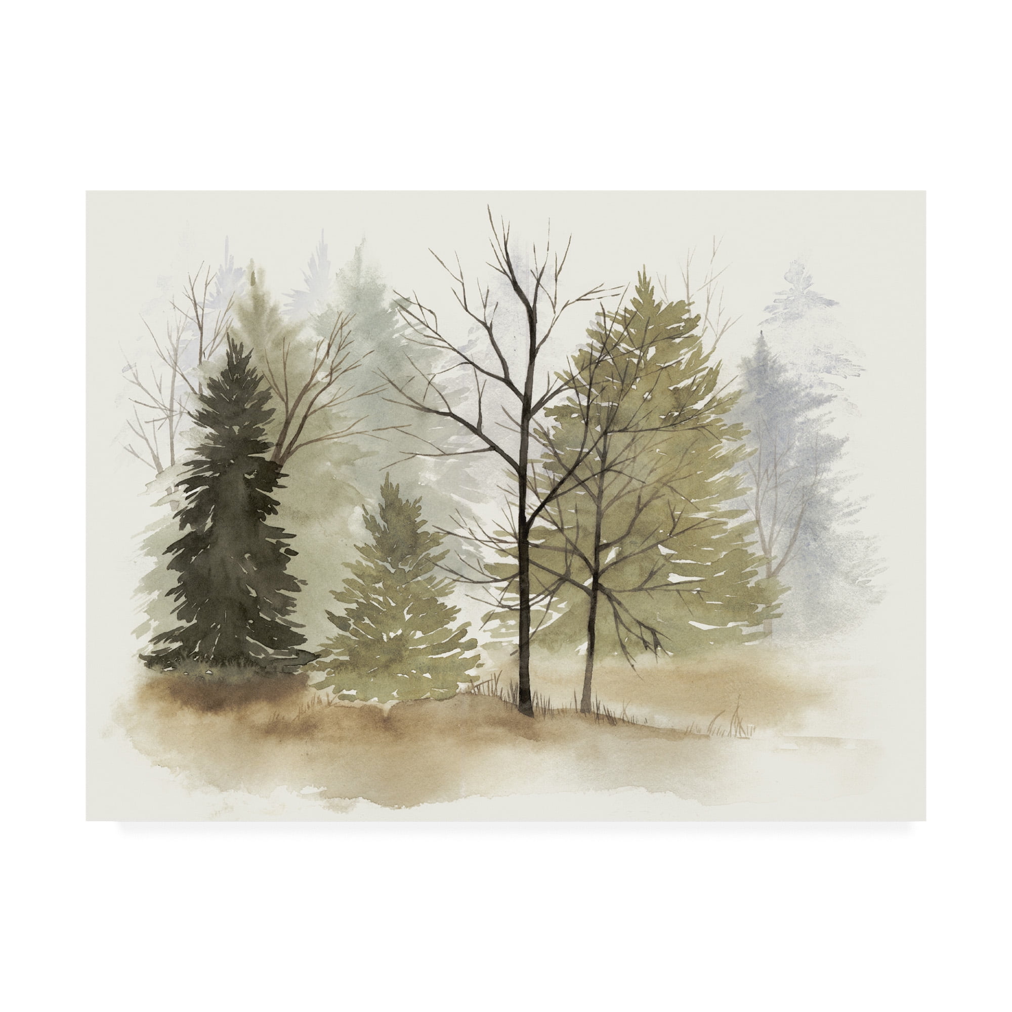 Trademark Fine Art 'In The Mist I' Canvas Art by Grace Popp