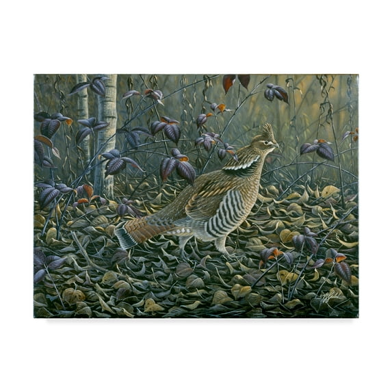 Trademark Fine Art 'In The Rough' Canvas Art by Wilhelm Goebel