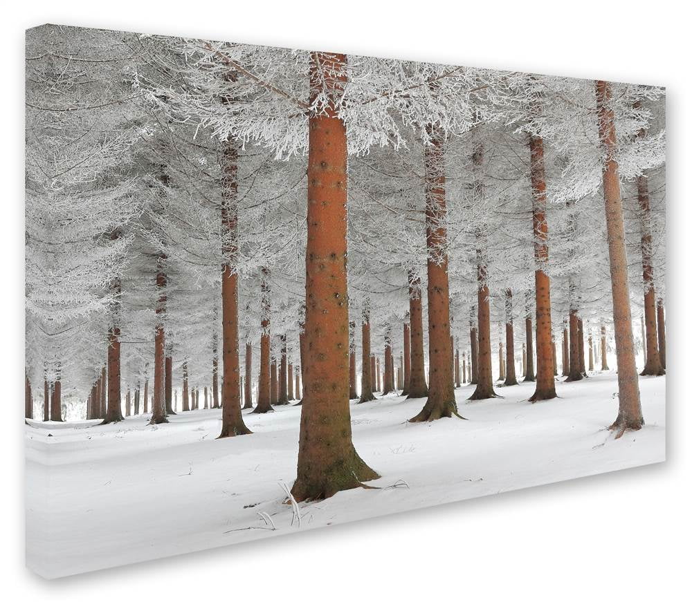 Trademark Fine Art 'In White' Canvas Art by Dragisa Petrovic