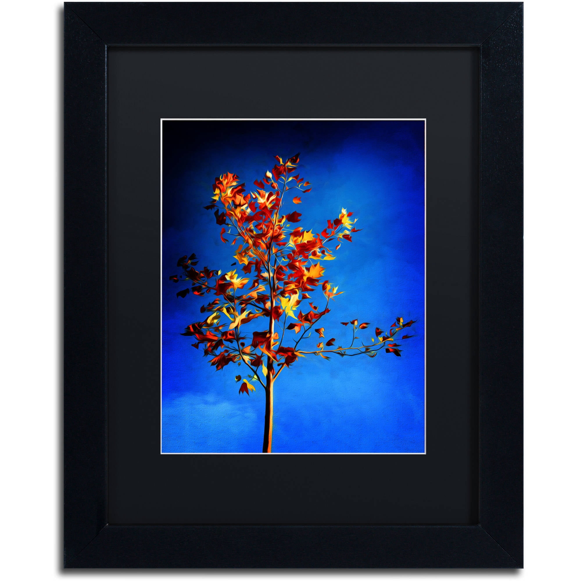 Trademark Fine Art "In the Autumn Wind" Canvas Art by Philippe Sainte-Laudy Black Matte, Black Frame