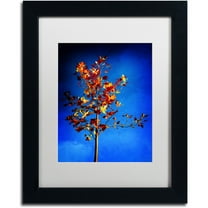 Trademark Fine Art "In the Autumn Wind" Canvas Art by Philippe Sainte-Laudy White Matte, Black Frame