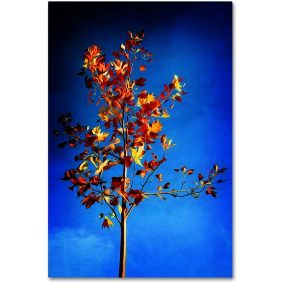 Trademark Fine Art "In the Autumn Wind" Canvas Art by Philippe Sainte-Laudy
