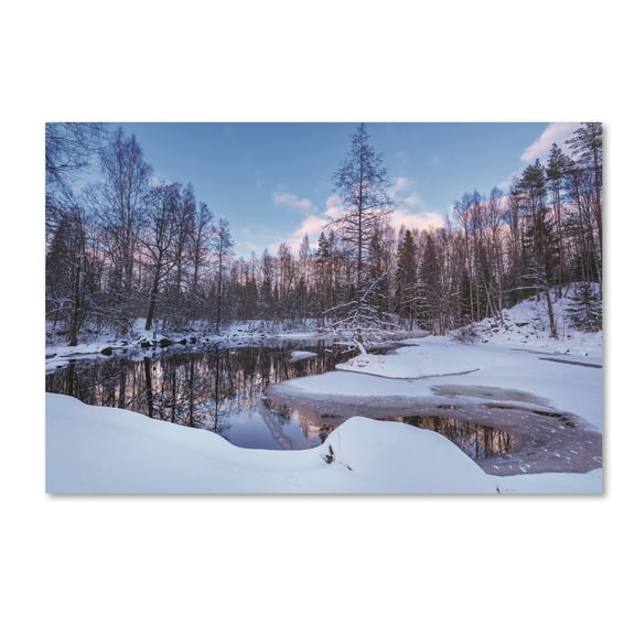 Trademark Fine Art 'In the Blue Forest' Canvas Art by Philippe Sainte-Laudy