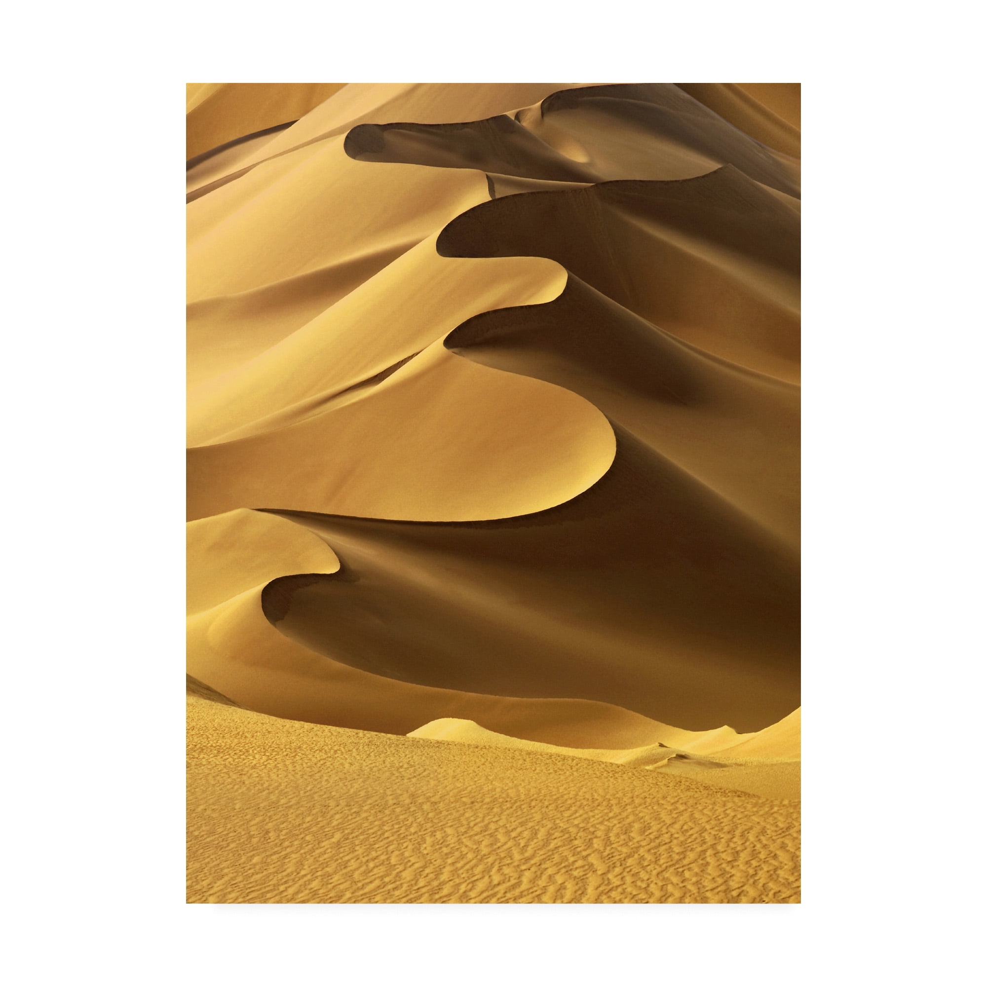 Trademark Fine Art 'In the Dunes 2 Fabrikken' Canvas Art by Design Fabrikken