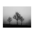 thumbnail image 1 of Trademark Fine Art 'In the Fog Crop' Canvas Art by Aledanda, 1 of 3