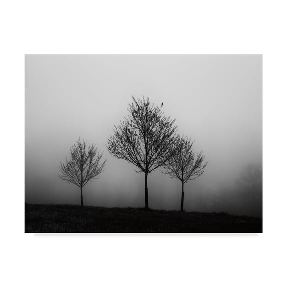 Trademark Fine Art 'In the Fog Crop' Canvas Art by Aledanda