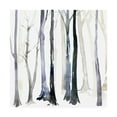 thumbnail image 1 of Trademark Fine Art 'In the Forest Trees II' Canvas Art by Grace Popp, 1 of 3