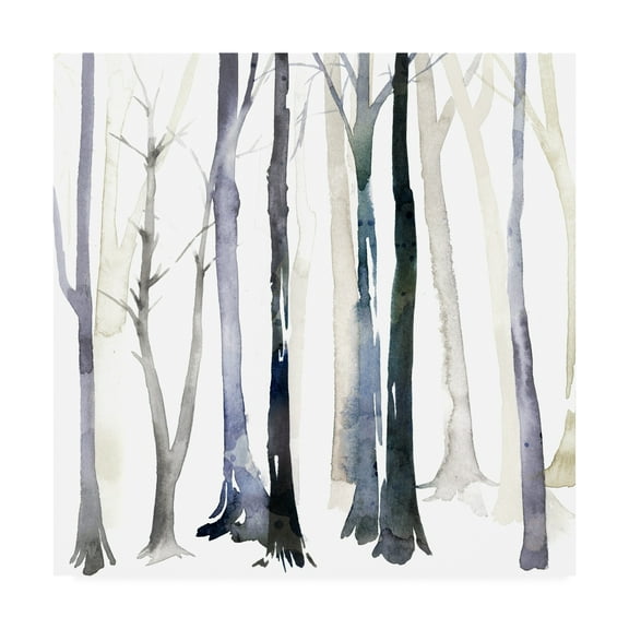 Trademark Fine Art 'In the Forest Trees II' Canvas Art by Grace Popp