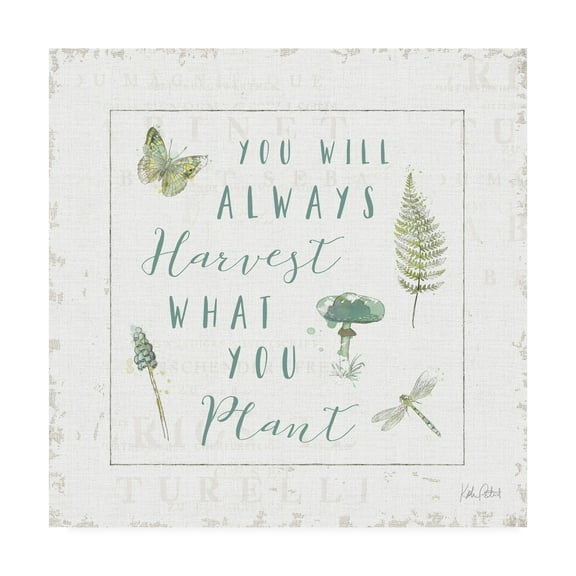 Trademark Fine Art 'In the Forest V Harvest' Canvas Art by Katie Pertiet