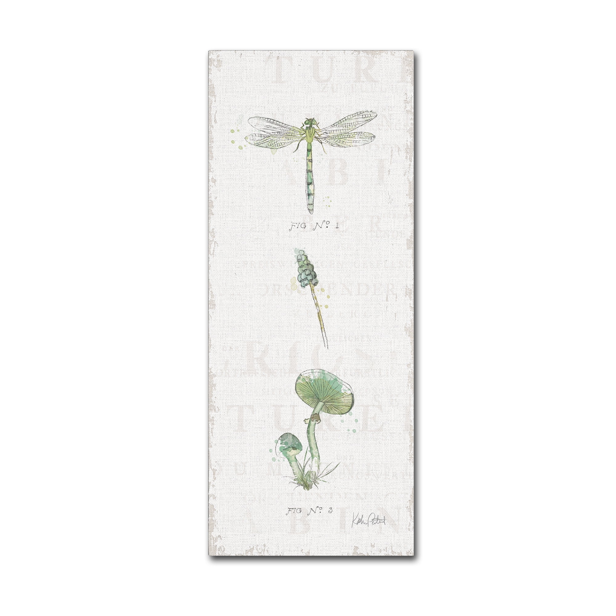Trademark Fine Art 'In the Forest X' Canvas Art by Katie Pertiet