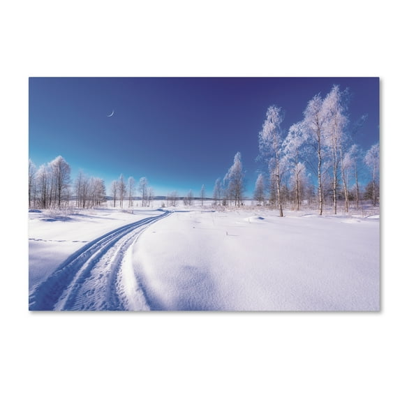 Trademark Fine Art 'In the Great White Silence' Canvas Art by Philippe Sainte-Laudy