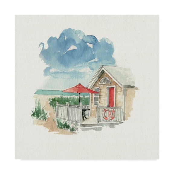 Trademark Fine Art 'In the Moment IV' Canvas Art by Lisa Audit