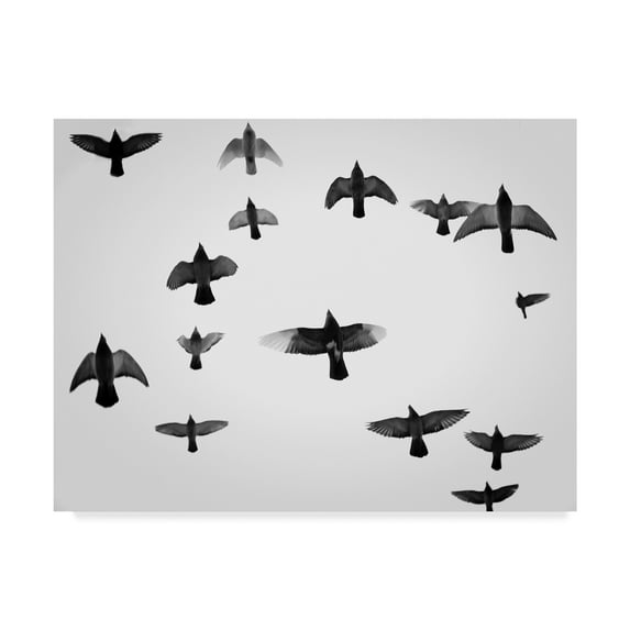 Trademark Fine Art 'In the Skies I' Canvas Art by Martin Henson