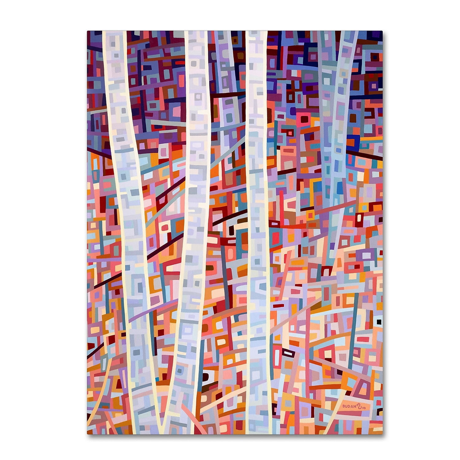 Trademark Fine Art "Incandescence" Canvas Art by Mandy Budan