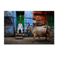 thumbnail image 1 of Trademark Fine Art 'India' Canvas Art by Fadhel Almutaghawi, 1 of 3