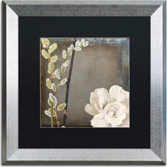 Trademark Fine Art "India I" Canvas Art by Color Bakery, Black Matte, Silver Frame