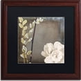 thumbnail image 1 of Trademark Fine Art "India I" Canvas Art by Color Bakery, Black Matte, Wood Frame, 1 of 1