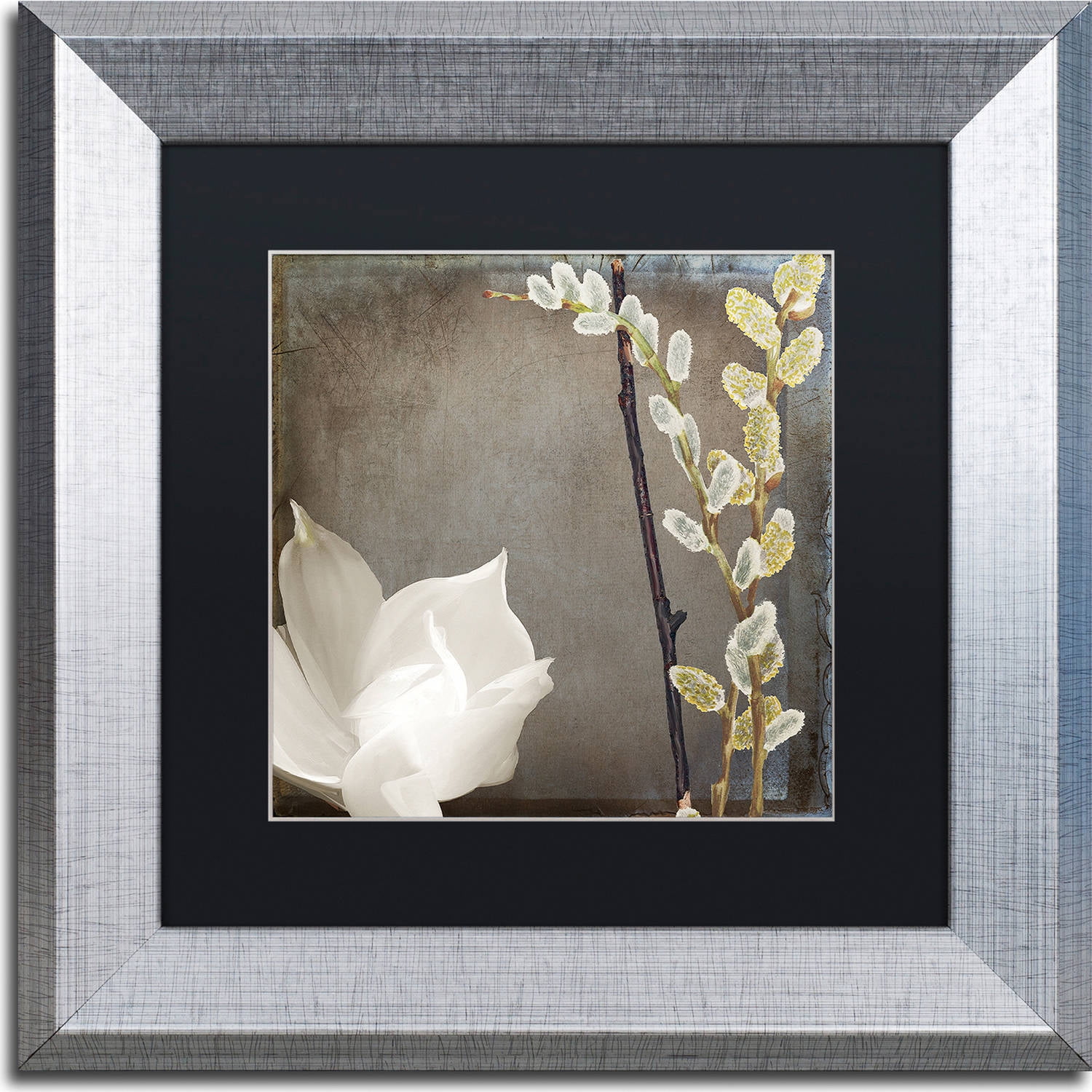 Trademark Fine Art "India II" Canvas Art by Color Bakery, Black Matte, Silver Frame