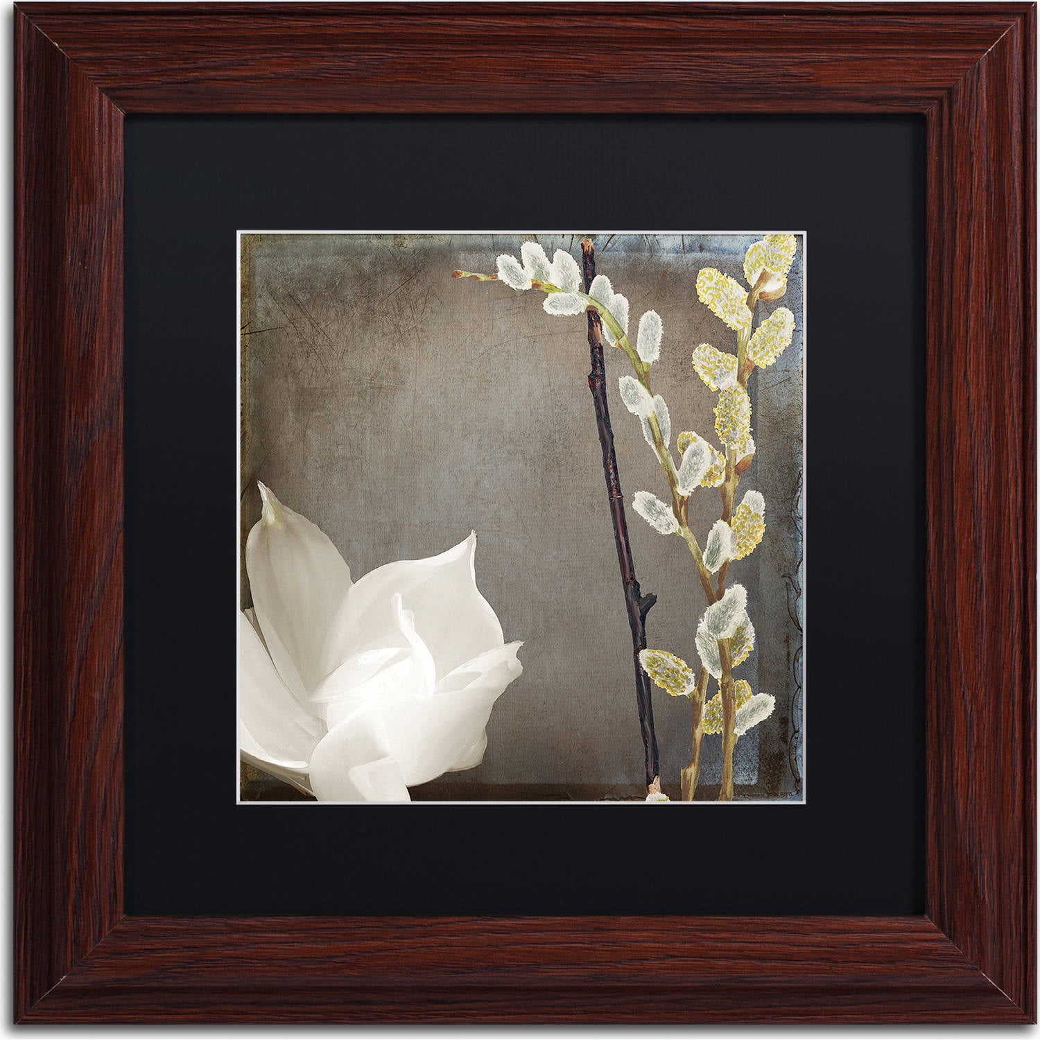 Trademark Fine Art "India II" Canvas Art by Color Bakery, Black Matte, Wood Frame