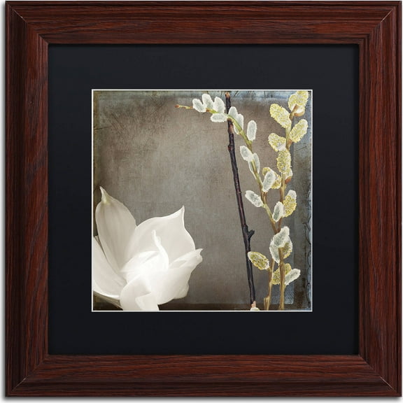 Trademark Fine Art "India II" Canvas Art by Color Bakery, Black Matte, Wood Frame