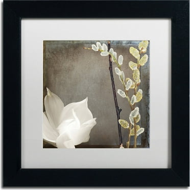 Trademark Fine Art "India II" Canvas Art by Color Bakery, White Matte, Black Frame
