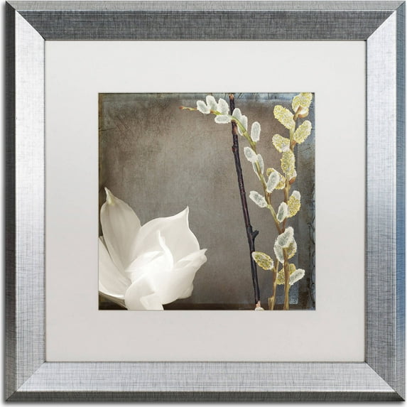 Trademark Fine Art "India II" Canvas Art by Color Bakery, White Matte, Silver Frame