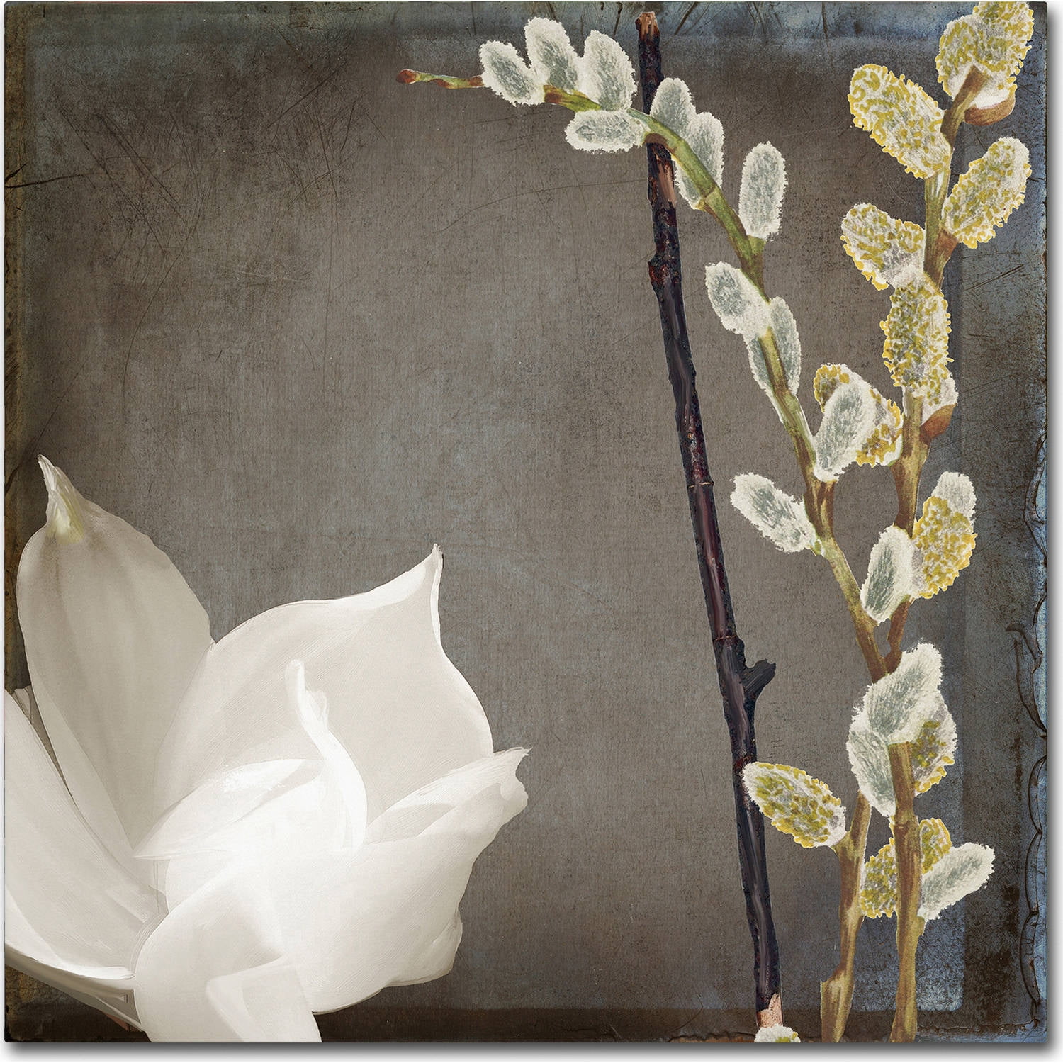 Trademark Fine Art "India II" Canvas Art by Color Bakery
