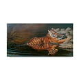 thumbnail image 1 of Trademark Fine Art 'Indian Summer Tiger' Canvas Art by Michael Jackson, 1 of 3