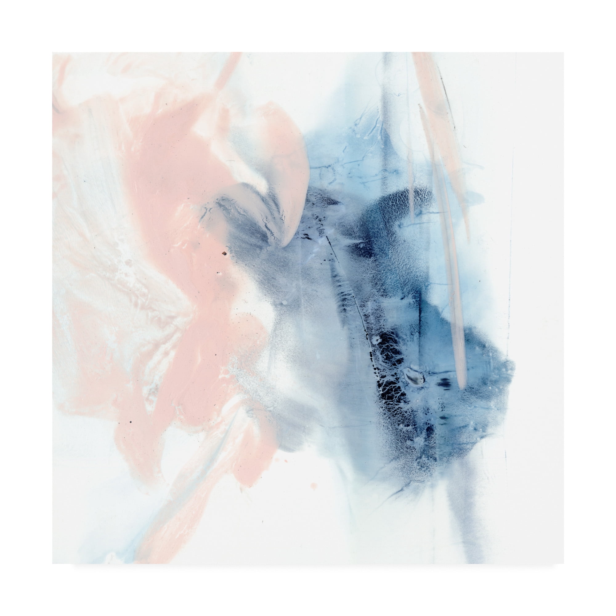 Trademark Fine Art 'Indigo And Blush III' Canvas Art by Ethan Harper