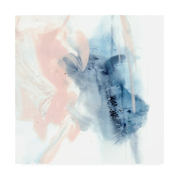 Trademark Fine Art 'Indigo And Blush III' Canvas Art by Ethan Harper