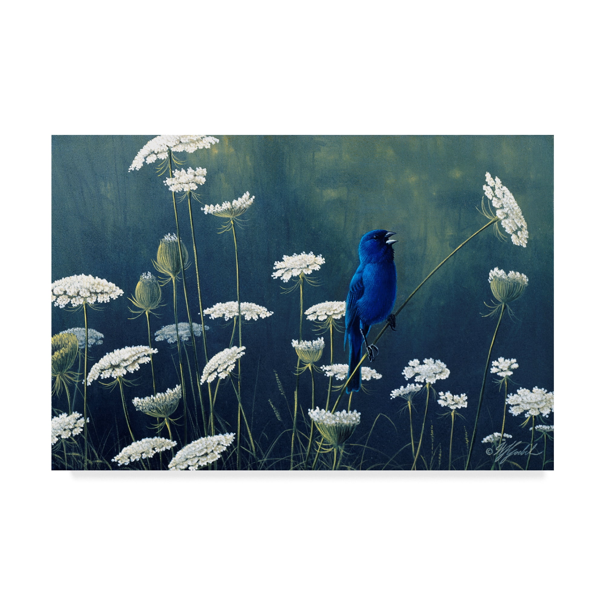 Trademark Fine Art 'Indigo And Lace Indigo Bunting' Canvas Art by Wilhelm Goebel